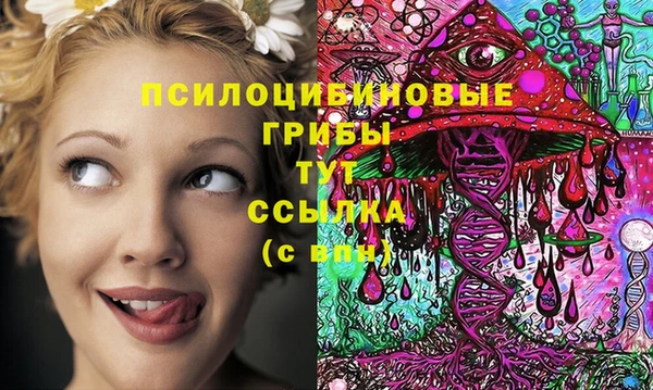 apvp Алзамай